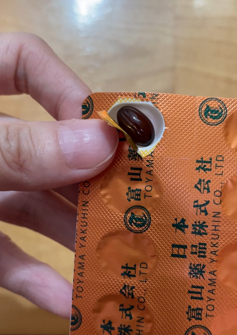 試用